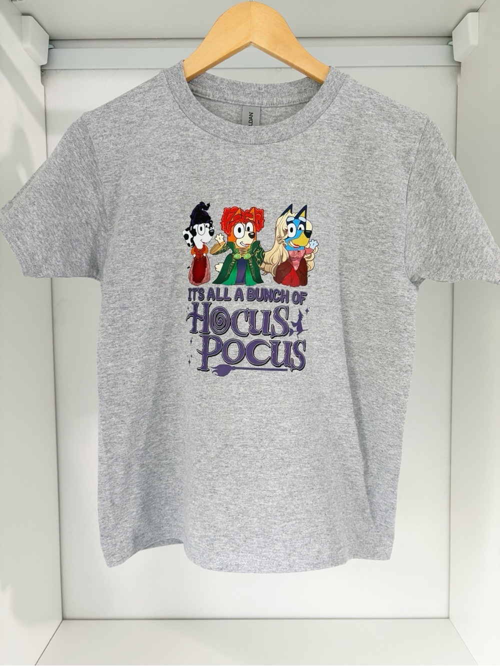 Gildan Gray Kids Bluey Hocus Pocus Character Graphic Tee